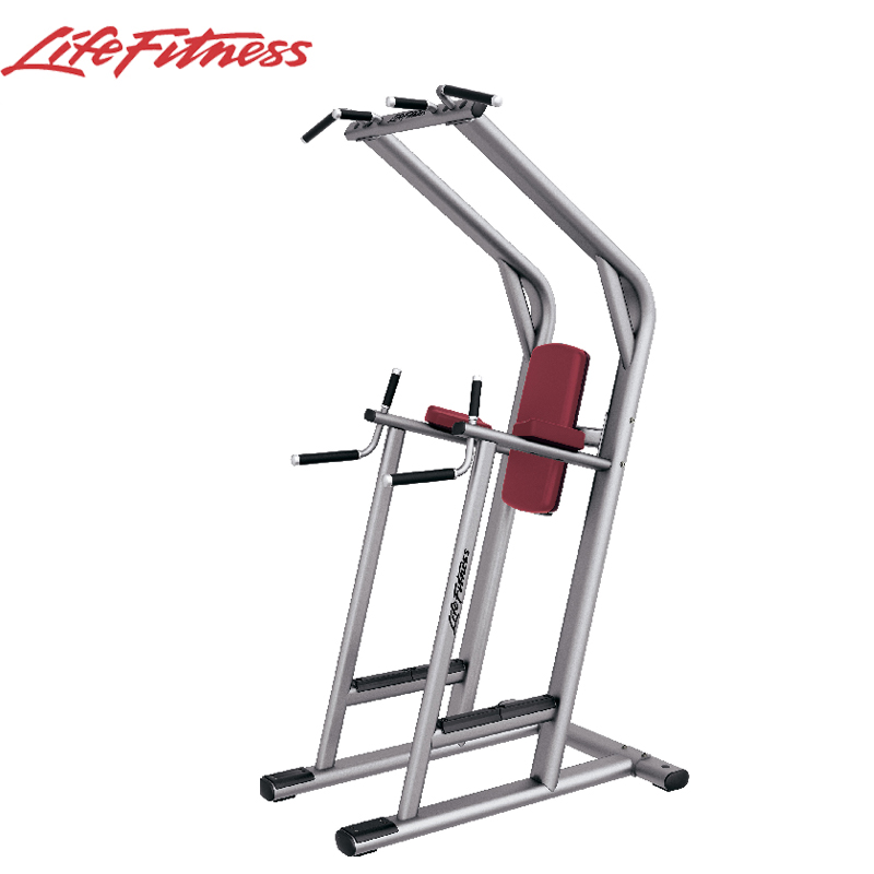 力健Life Fitness SCDLR 單雙杠及提腿腹肌組合練習器